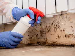 Biohazard Mold Removal in Golden Hills, CA